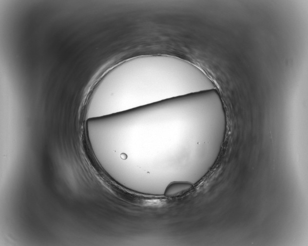 X0000086230053200703290952