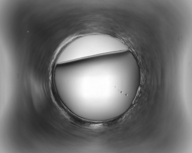 X0000086230054200703290952