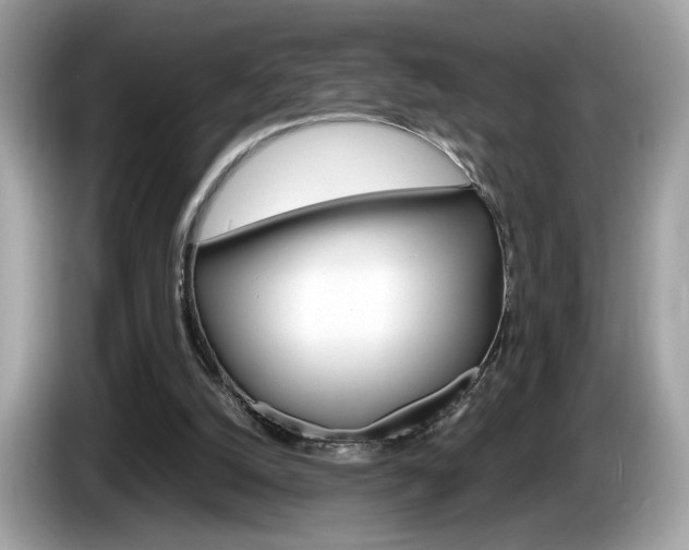 X0000086230056200703290952