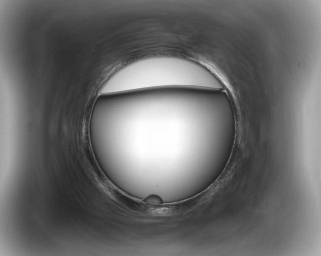 X0000086230057200703290952