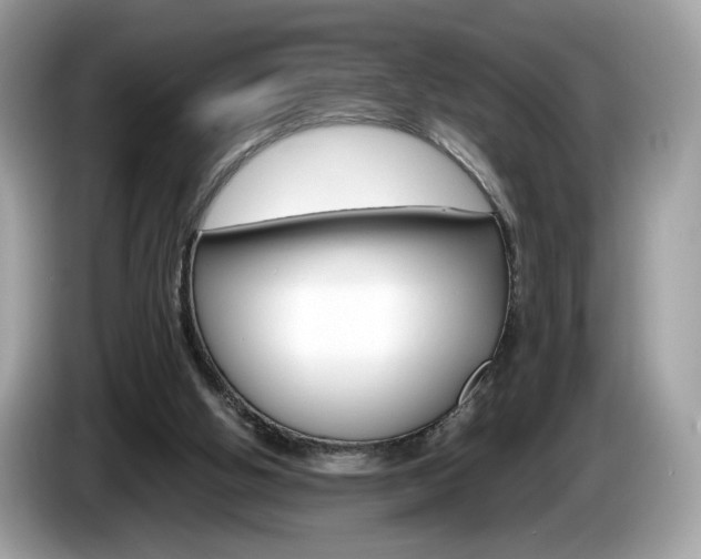 X0000086230058200703290952