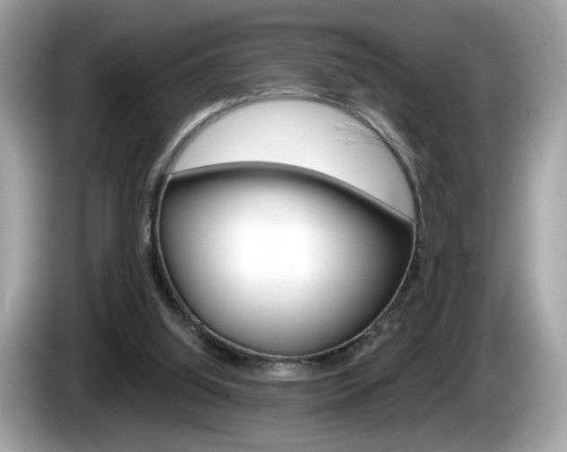 X0000086230060200703290952