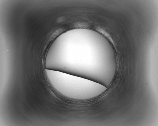 X0000086230061200703290952