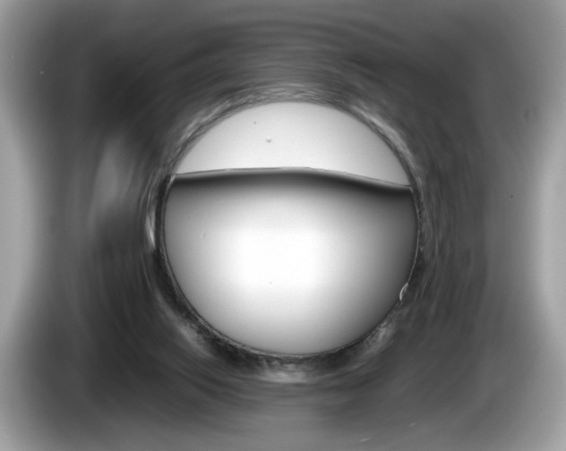 X0000086230062200703290952