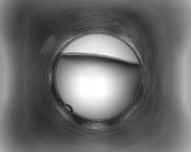 X0000086230063200703290952