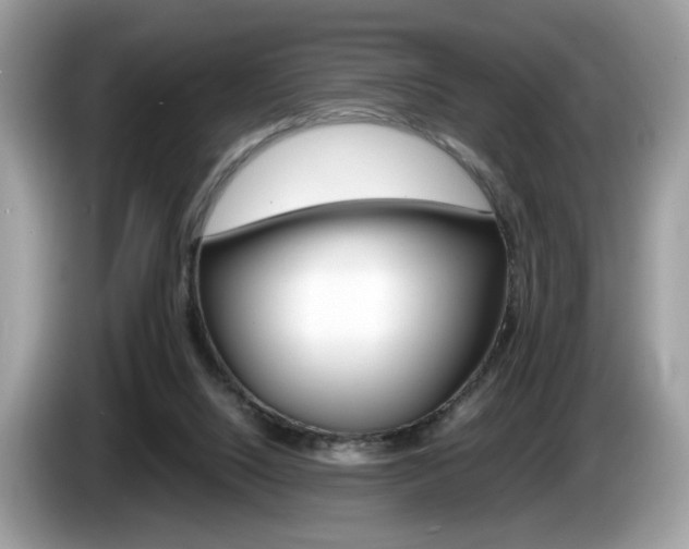 X0000086230064200703290952