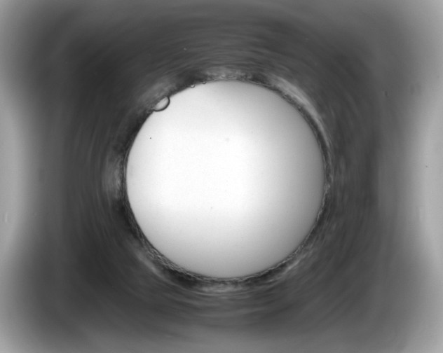 X0000086230065200703290952
