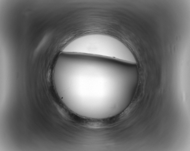 X0000086230066200703290952