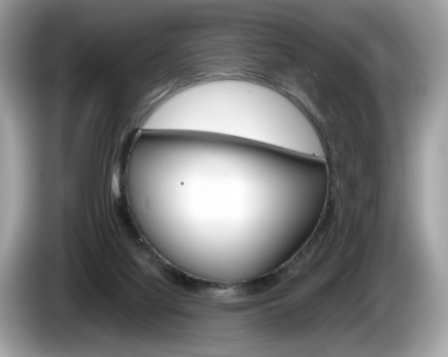 X0000086230068200703290952