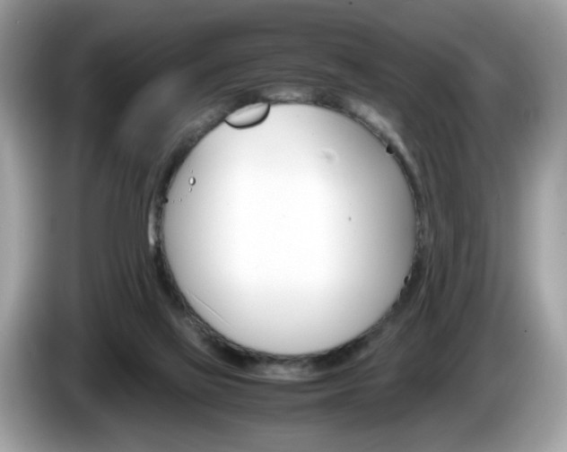 X0000086230069200703290952