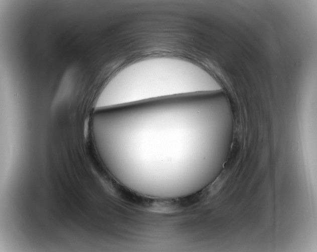 X0000086230070200703290953