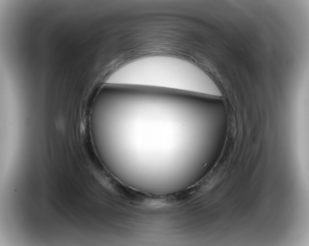 X0000086230072200703290953