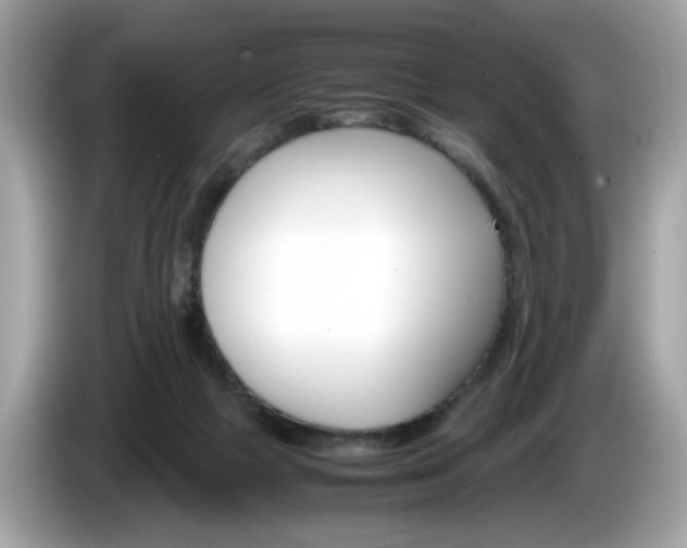 X0000086230073200703290953