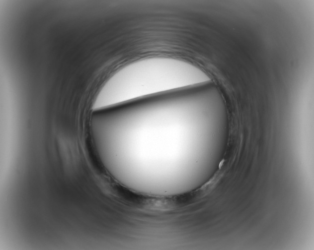 X0000086230074200703290953