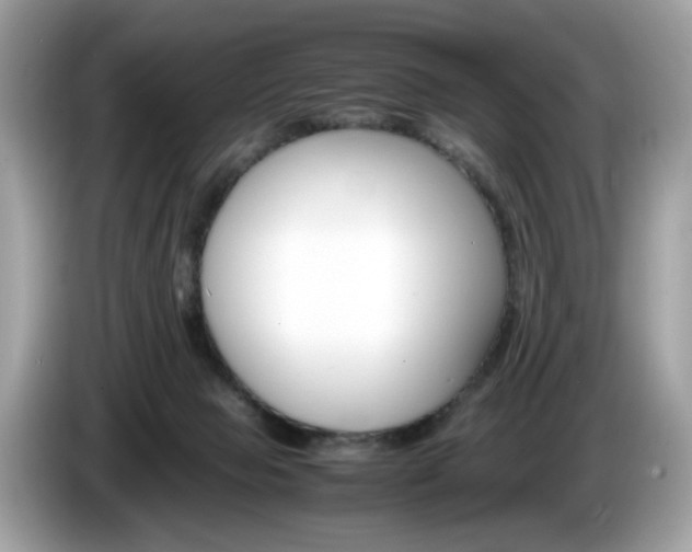 X0000086230077200703290953