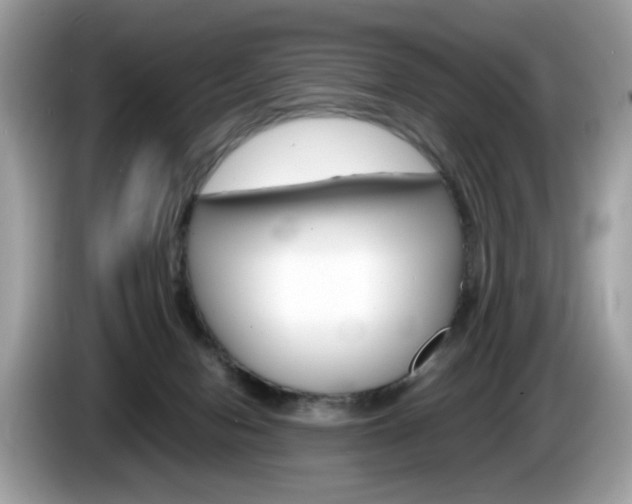 X0000086230078200703290953