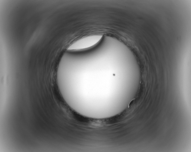 X0000086230079200703290953