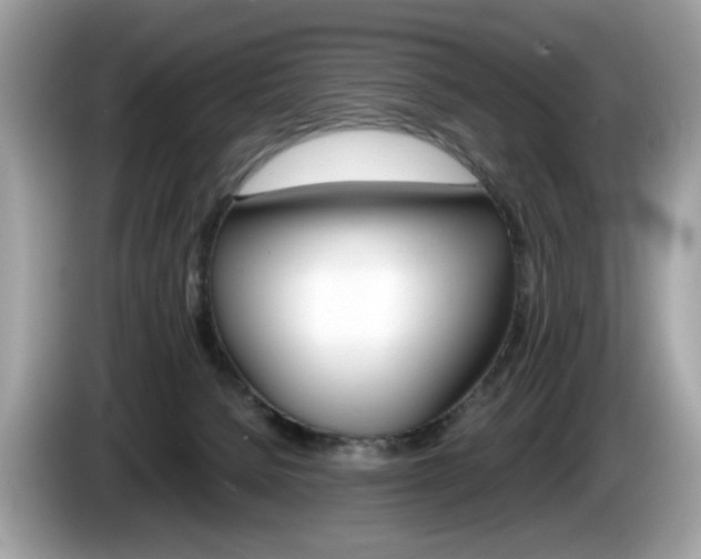 X0000086230080200703290953