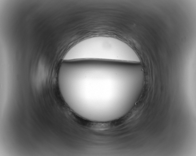 X0000086230081200703290953