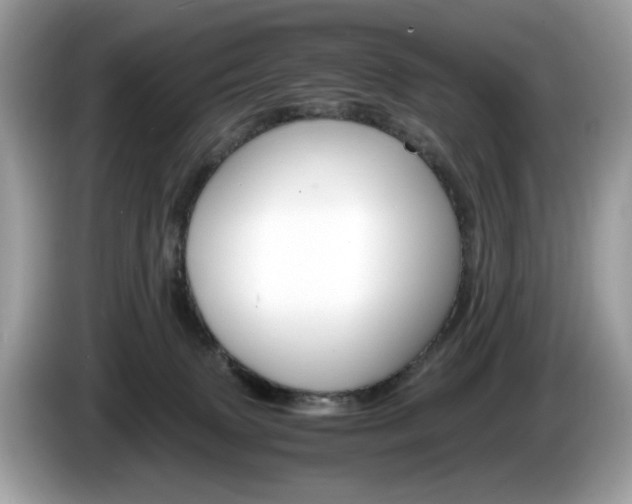 X0000086230083200703290953