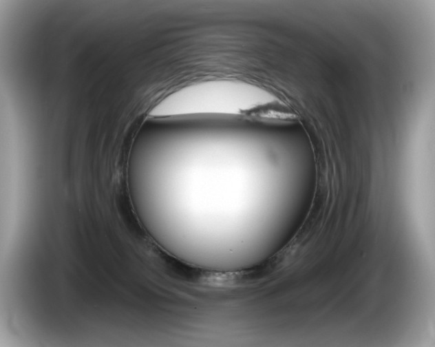 X0000086230084200703290953