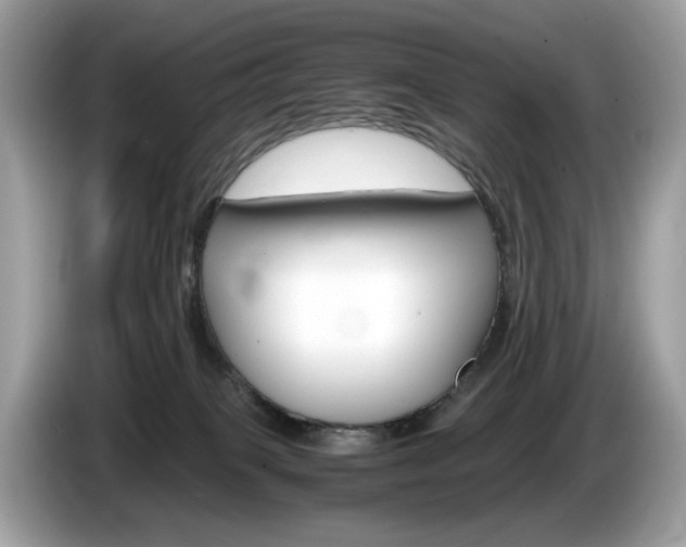 X0000086230085200703290953