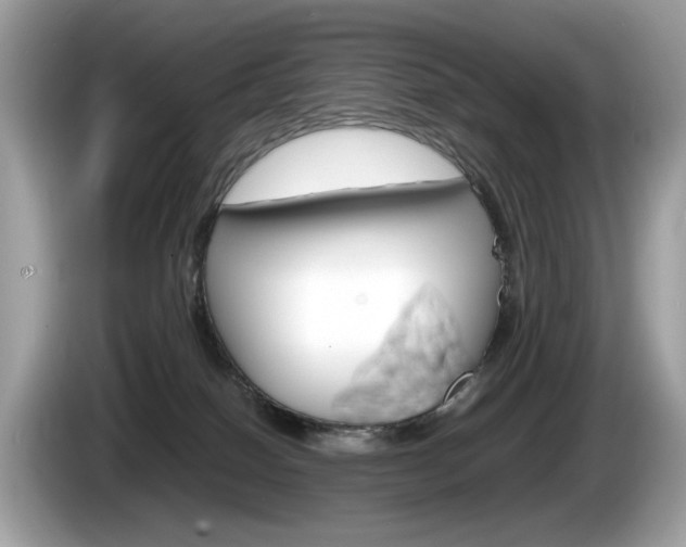 X0000086230086200703290953