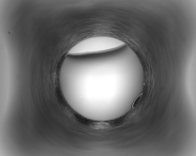 X0000086230087200703290953