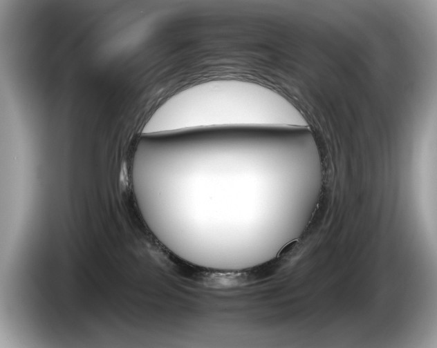 X0000086230089200703290953