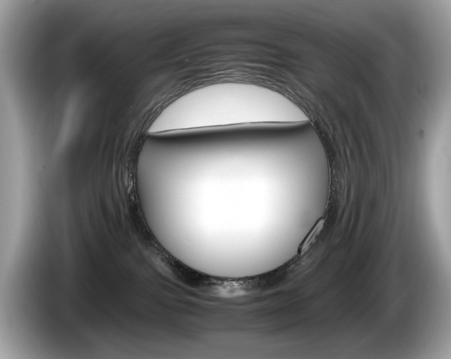 X0000086230091200703290953