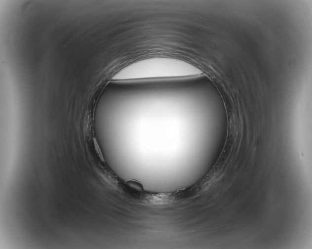 X0000086230092200703290953