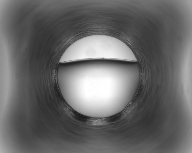X0000086230093200703290953