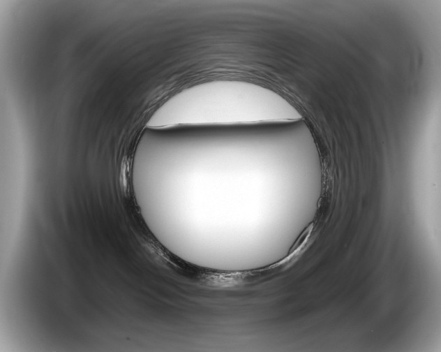 X0000086230094200703290953