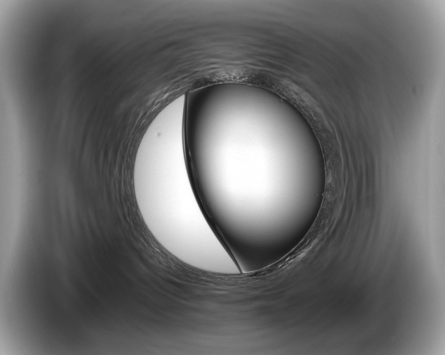 X0000086230096200703290953