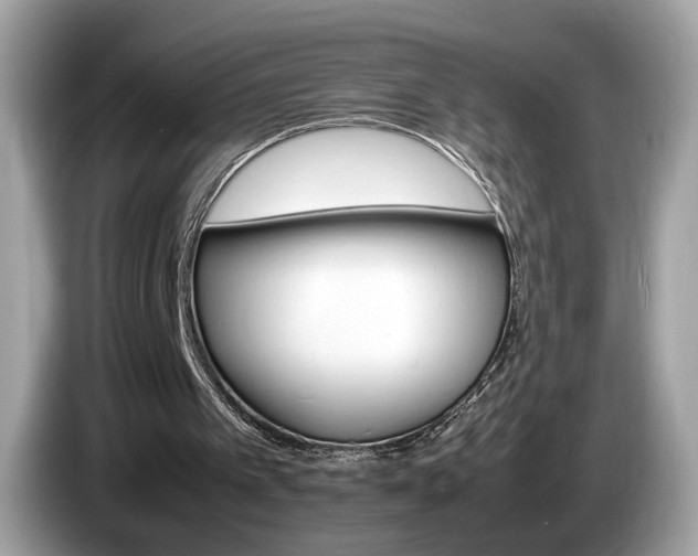 X0000086230097200703290952
