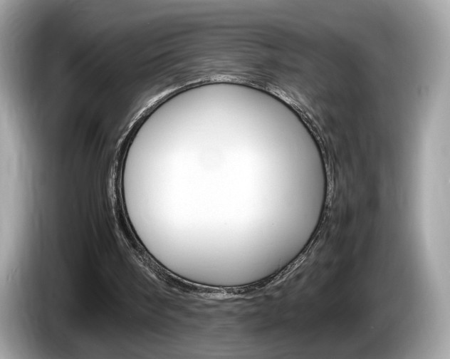 X0000086230098200703290952
