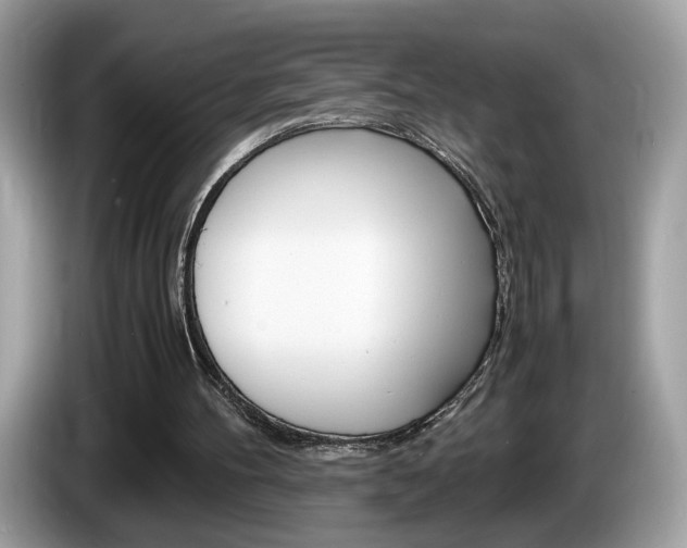 X0000086230100200703290952