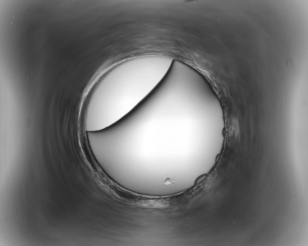 X0000086230102200703290952
