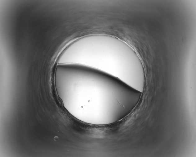 X0000086230103200703290952