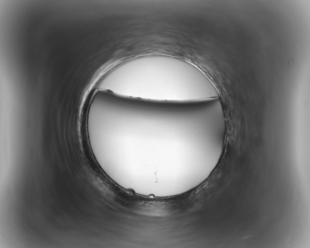 X0000086230104200703290952