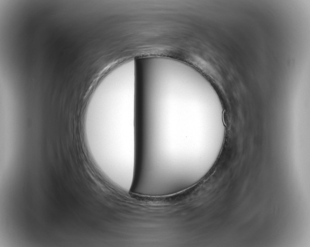 X0000086230107200703290952