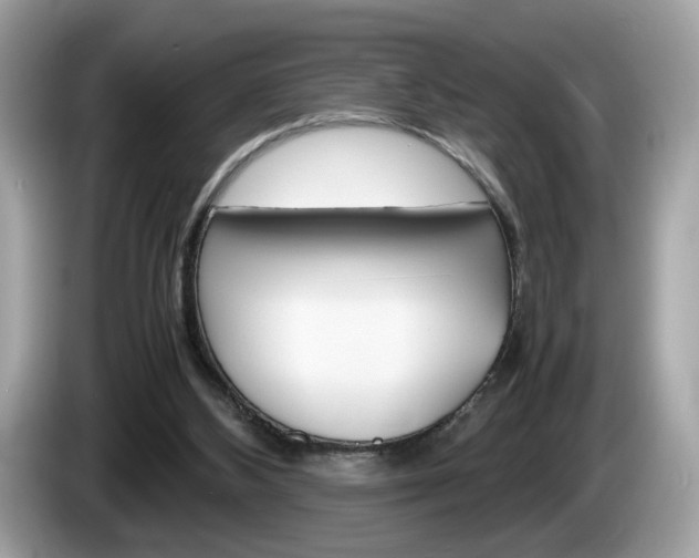 X0000086230108200703290952