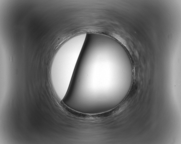 X0000086230109200703290952