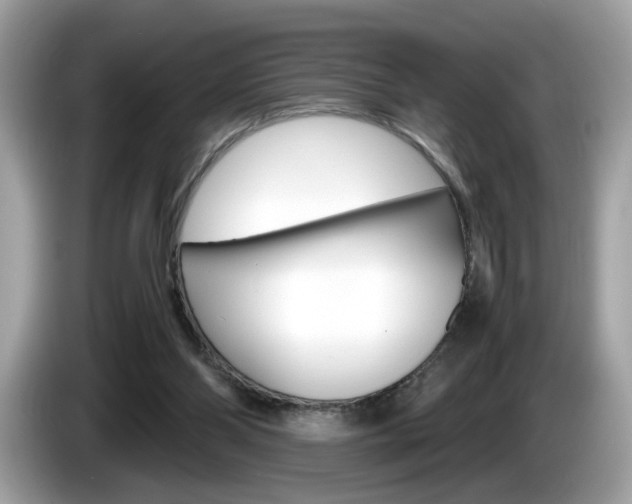 X0000086230110200703290952