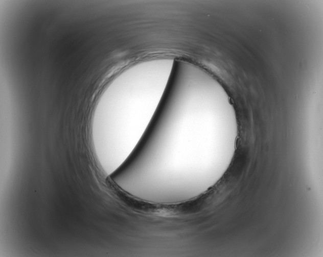 X0000086230111200703290952
