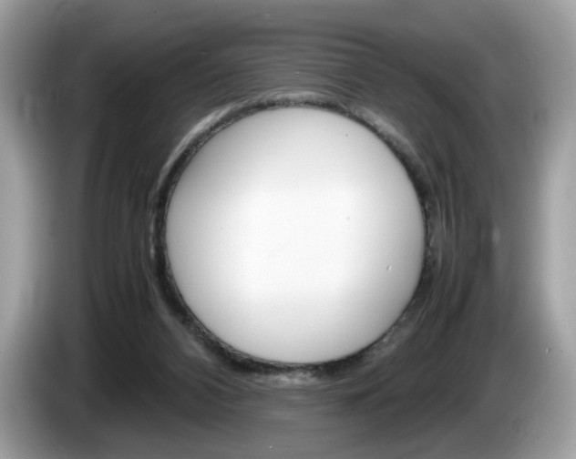 X0000086230112200703290952