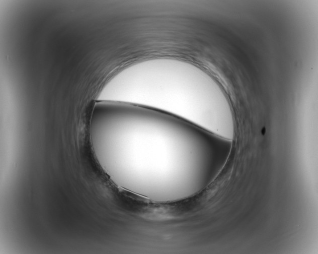 X0000086230113200703290952