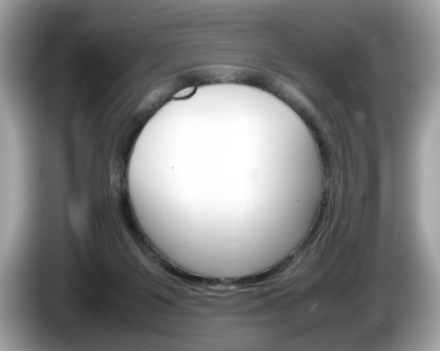X0000086230119200703290952