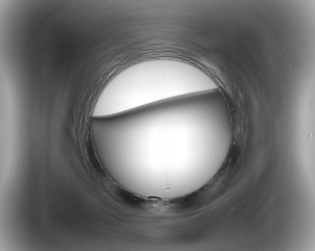 X0000086230121200703290952