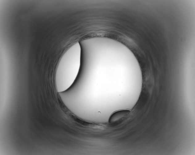 X0000086230122200703290952